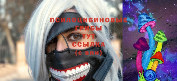 твердый Уссурийск