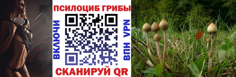 Псилоцибиновые грибы MAGIC MUSHROOMS  мориарти формула  Апатиты  дарнет шоп 