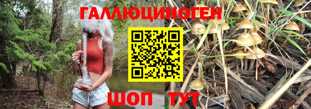 Псилоцибиновые грибы мухоморы Апатиты