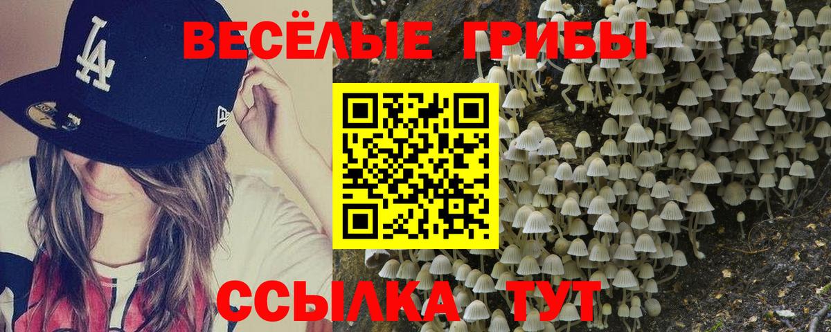 Галлюциногенные грибы MAGIC MUSHROOMS Апатиты