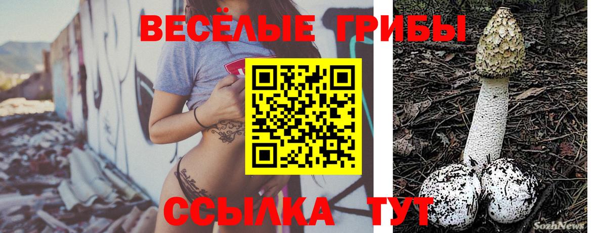 Псилоцибиновые грибы Magic Shrooms  Вход с VPN  Апатиты  Псилоцибиновые грибы прущие грибы 