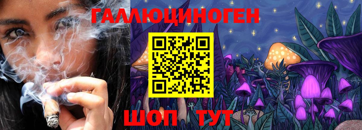 Апатиты  Псилоцибиновые грибы Cubensis  Вход с VPN 